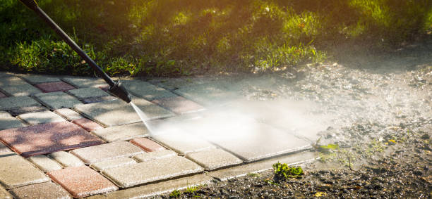 Best Driveway Pressure Washing  in Lone Star, TX